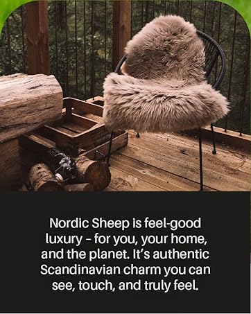 Nordic 2x3 ft Genuine Sheepskin Rug Short Pile Beige Animal Fur Bedside or Dining Table Unique Natural Creation with a Slightly Fluffy Texture 7 详情 05 10