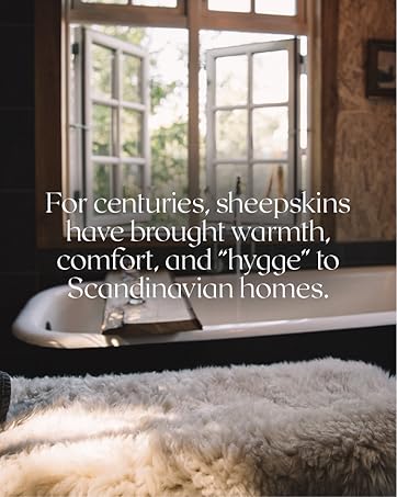 Nordic 2x3 ft Genuine Sheepskin Rug Short Pile Beige Animal Fur Bedside or Dining Table Unique Natural Creation with a Slightly Fluffy Texture 9 详情 07 5