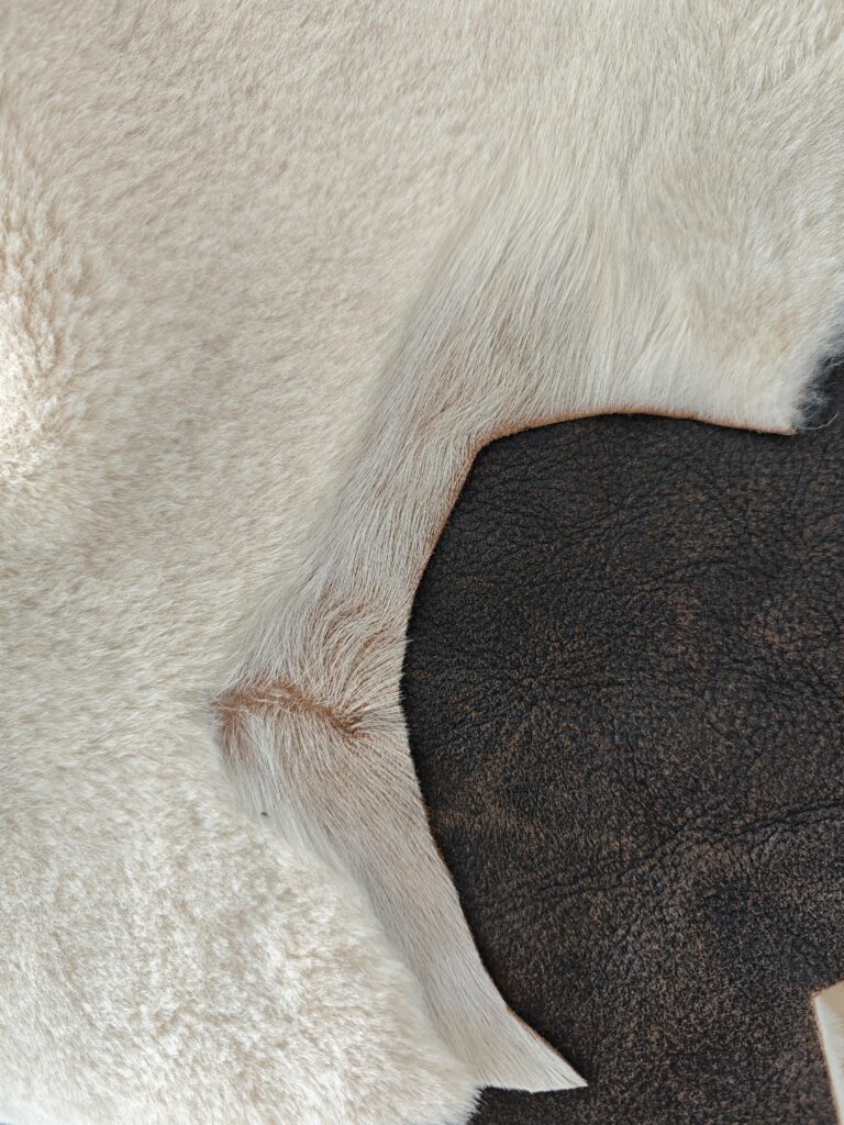 Home 30 57518fc4849962d83e2a33f22f5ec6b6