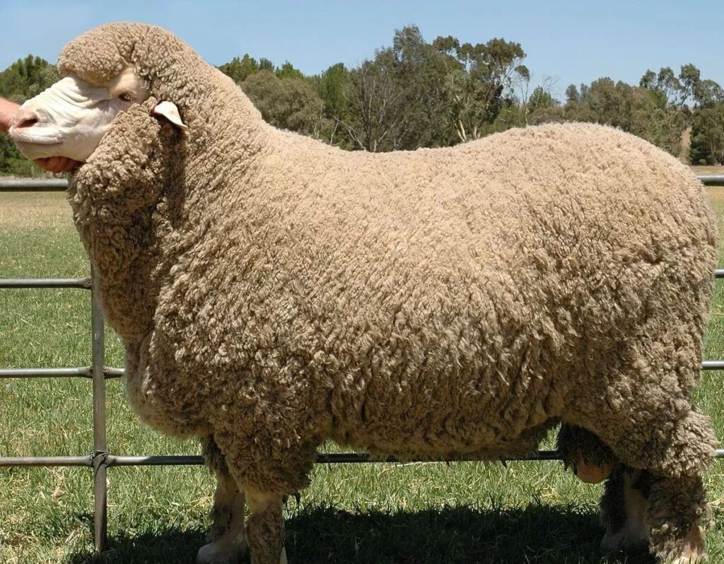 Home 26 88f35f4f1c2741f3a179499224100d08