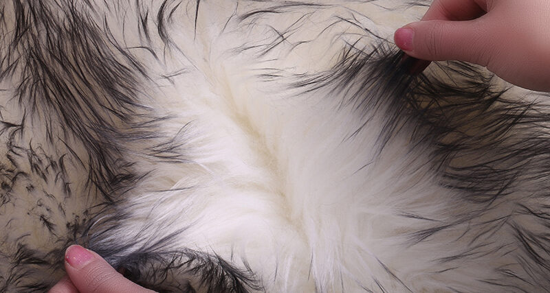 IMG 0907 e1762331799450