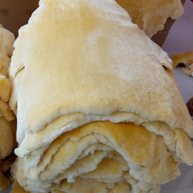 10451524744 494945331