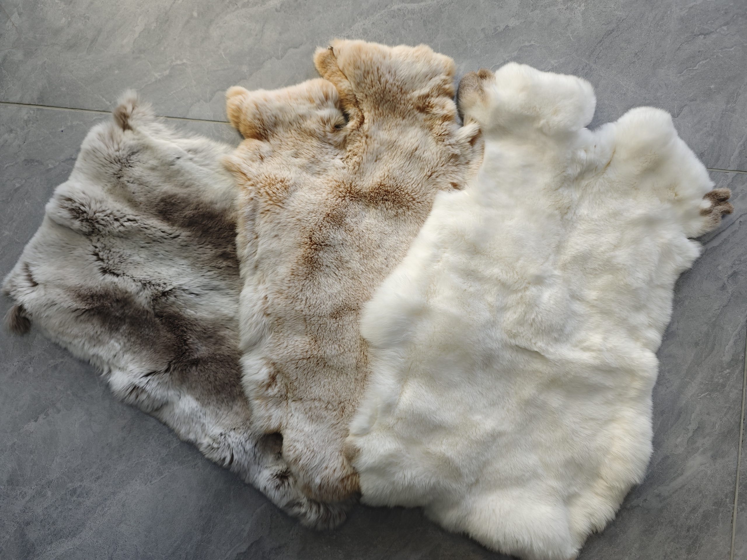The advantages and disadvantages of Rex rabbit fur that you need to know 1 d75ecf30246f8d3d1a45bfd7606cf5eb scaled e1764747316403
