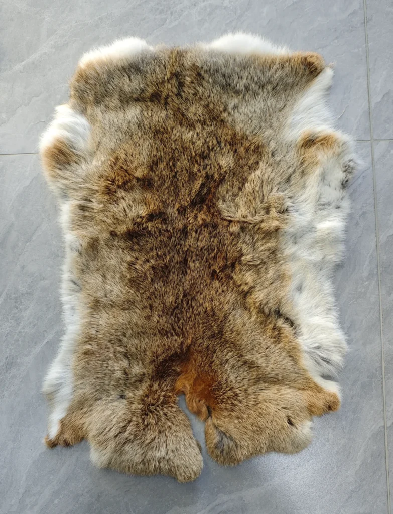 微信图片 20251203153238 234 5 scaled e1765332754333