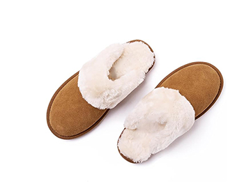 Home 18 未标题 2 1