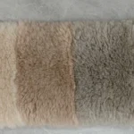 11_0003_微信图片_20260113161431_481_5 拷贝 2