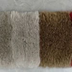 11_0004_微信图片_20260113161431_481_5 拷贝