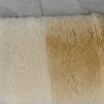 11_0006_微信图片_20260113161424_480_5 拷贝 2