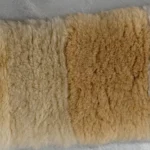 11_0007_微信图片_20260113161424_480_5 拷贝