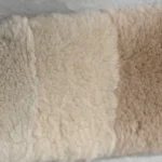 11_0008_微信图片_20260113161424_480_5