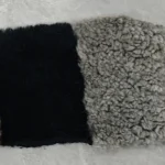 11_0012_微信图片_20260113161356_476_5 拷贝 2