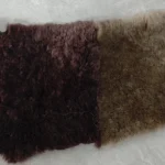 11_0013_微信图片_20260113161356_476_5 拷贝