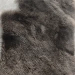 11_0015_微信图片_20260113161245_473_5