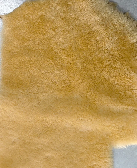 11 0018 微信图片 20260113160927 467 5