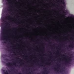 11_0019_微信图片_20260113161514_488_5