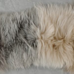 22_0001_微信图片_20260113161501_486_5 拷贝