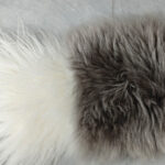 22_0002_微信图片_20260113161501_486_5