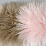 22_0003_微信图片_20260113161456_485_5 拷贝 2