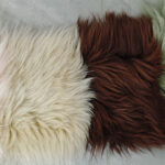 22_0004_微信图片_20260113161456_485_5 拷贝