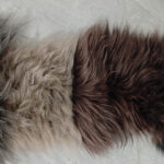 22_0007_微信图片_20260113161444_483_5 拷贝