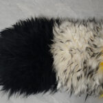 22_0009_微信图片_20260113161350_475_5