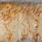 22_0011_微信图片_20260113161309_474_5 拷贝