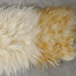 22_0012_微信图片_20260113161309_474_5