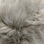 22_0013_微信图片_20260113161212_472_5