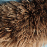 22_0014_微信图片_20260113161113_470_5