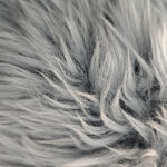 22_0015_微信图片_20260113161048_469_5