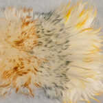 22_0017_微信图片_20260113161520_489_5