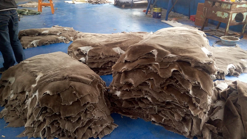 826fe8e1118a2802395e59b2bb1df4f2