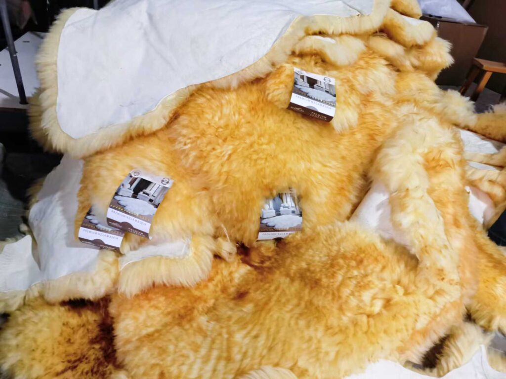 2P beige color with gold tips sheepskin rug , ready to be packed up