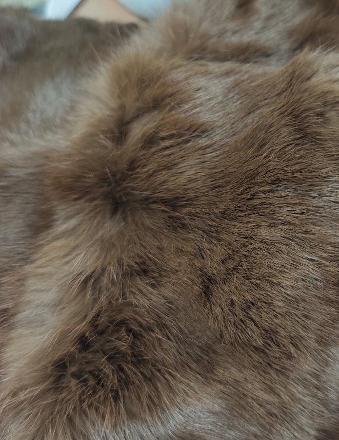 未标题 1 0000 252fb115a8c754881ca28c3138f8dffc