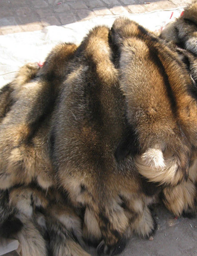 未标题 1 0000 photobank 1