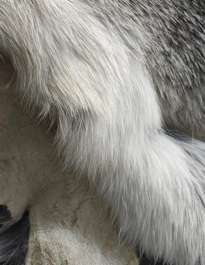 未标题 1 0001 微信图片 20251208155743 291 5