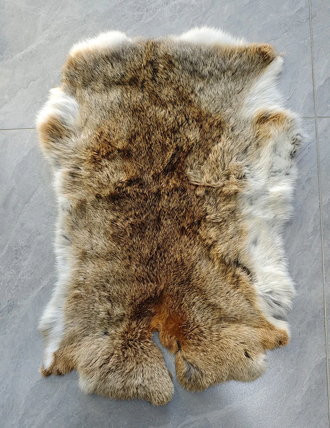 未标题 1 0002 微信图片 20251203153238 234 5