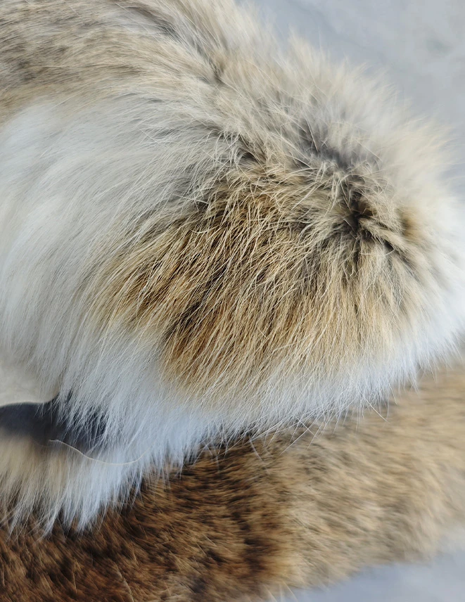 未标题 1 0002 微信图片 20251203153259 244 5