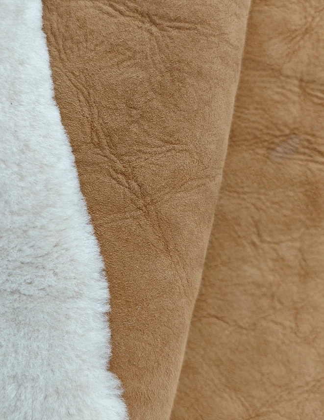 未标题 1 0003 b26096d864a900871ef6b65d970d1222