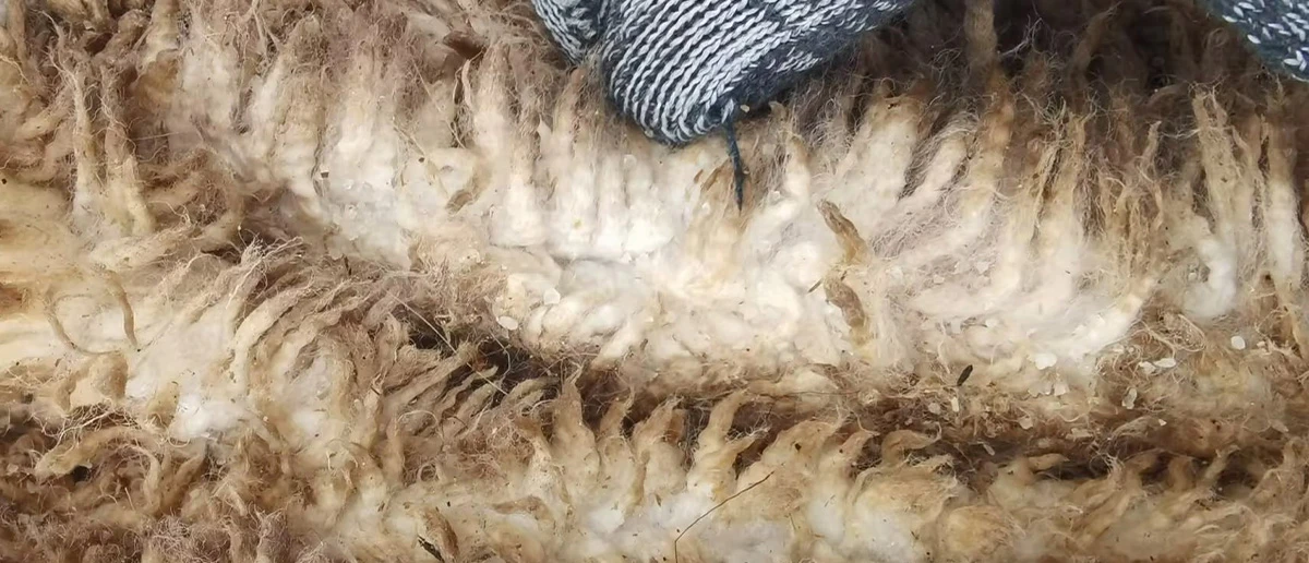 From Raw Hide to Semi-Finished sheepskin