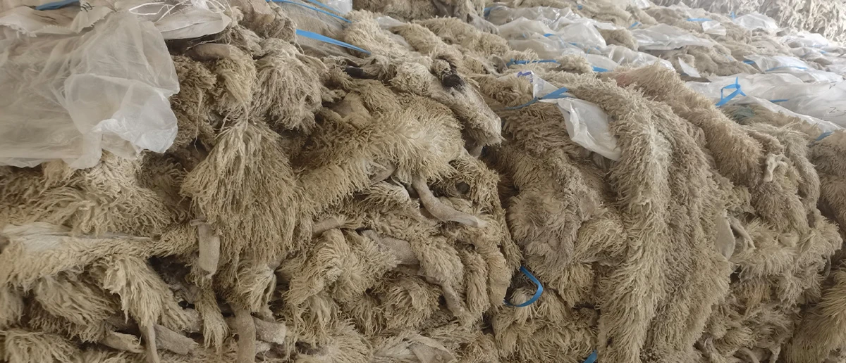 Sourcing Semi-Finished Sheepskin
