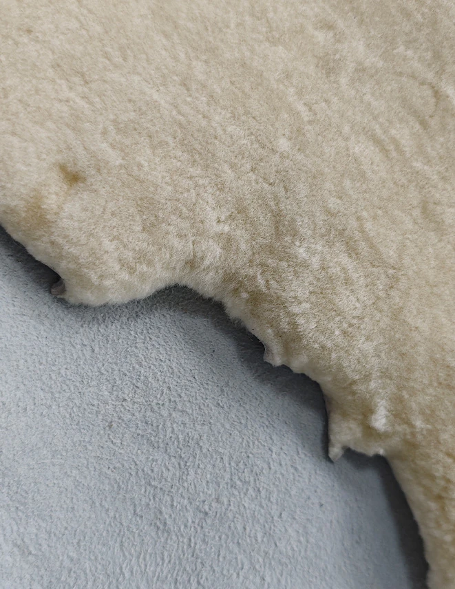 未标题 1 0000 微信图片 20260228104231 765 5