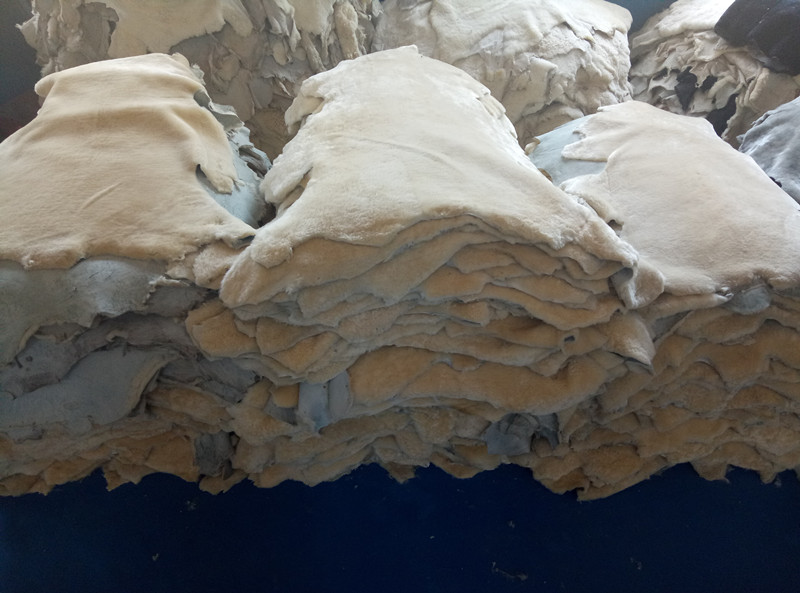 doubleface sheepskin 7 7070E98A5F2F452403DFB2A1CB6C752F