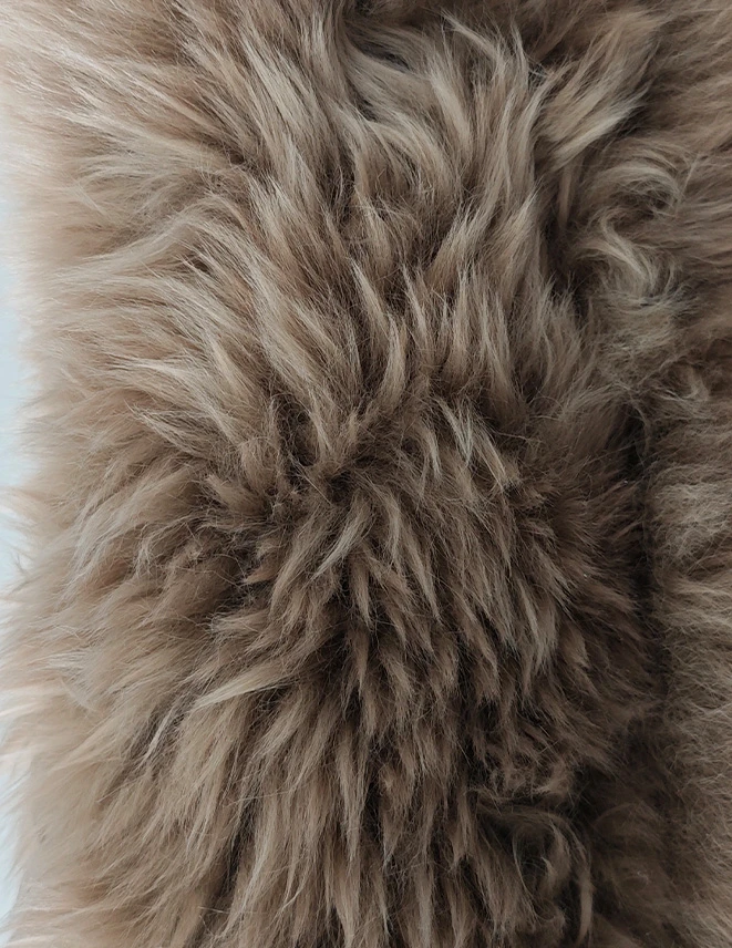 未标题 1 0002 57bac692c24409ee81078a8f375fc865