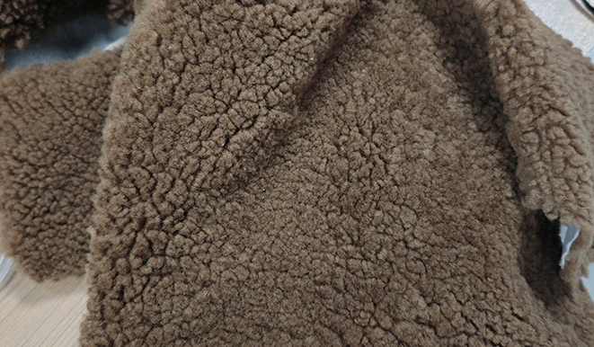 未标题 3 0000 微信图片 20260227142121 729 5