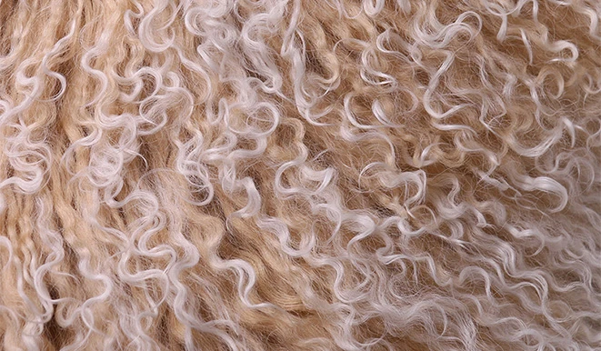 未标题 3 0001 IMG 9897