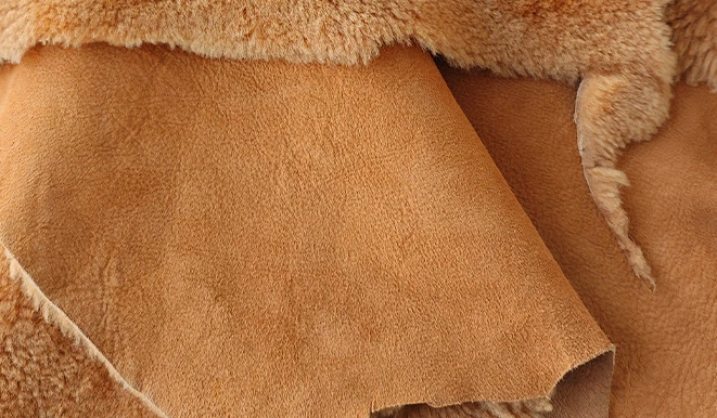 未标题 3 0004 微信图片 20260227142231 734 5