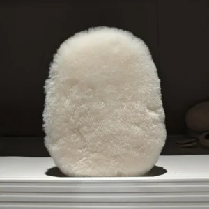 Mini sheepskin shoe polish