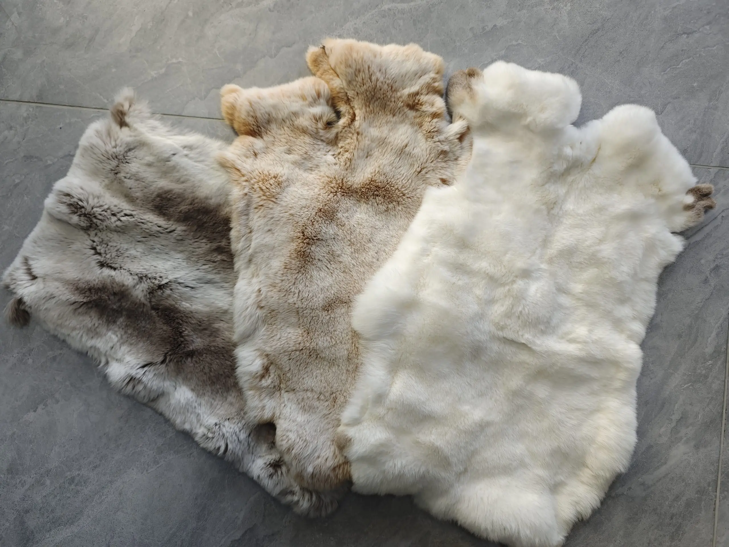 rex Rabbit Fur Guide: Understanding the velvety soft fur material 1 rex rabbit fur